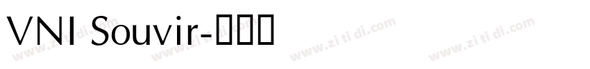 VNI Souvir字体转换